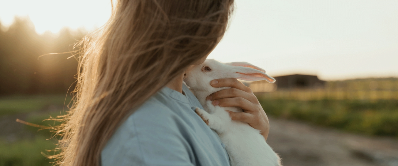 Movimento Cruelty-Free e a resolução que proíbe os testes em animais no Brasil!